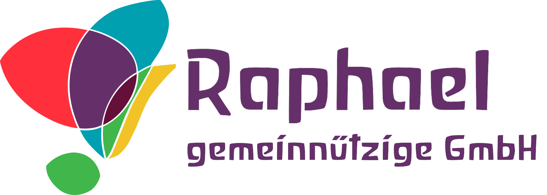 Raphael gemeinn&uuml;tzige GmbH